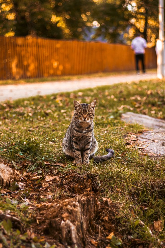 Photograph by Евгения Логинова