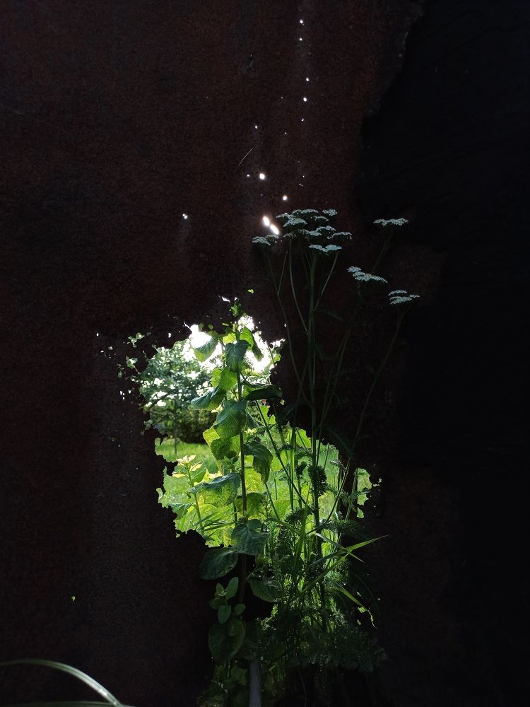 Photograph by Анастасия Кулешевич