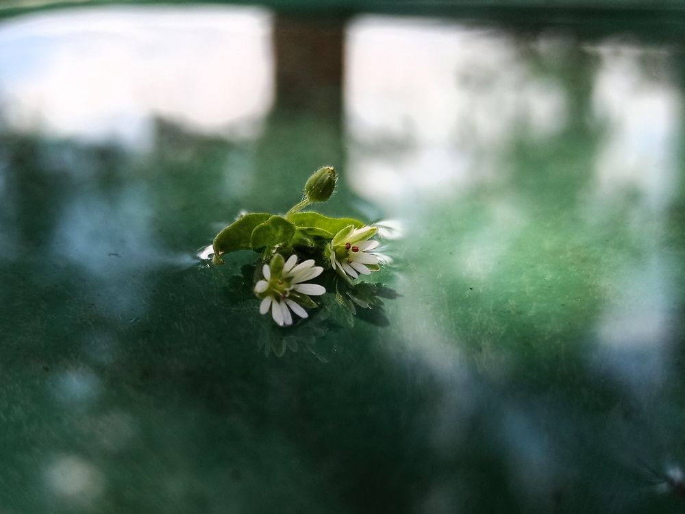 Photograph by Анастасия Кулешевич