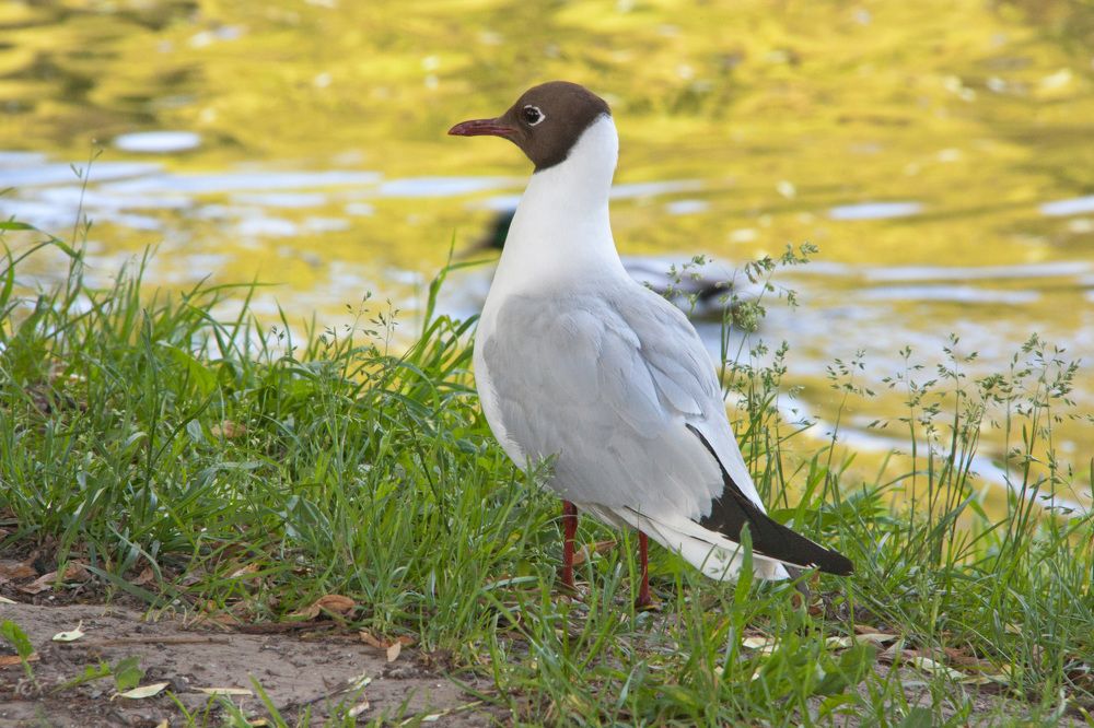 Photograph by Мария Самоловова