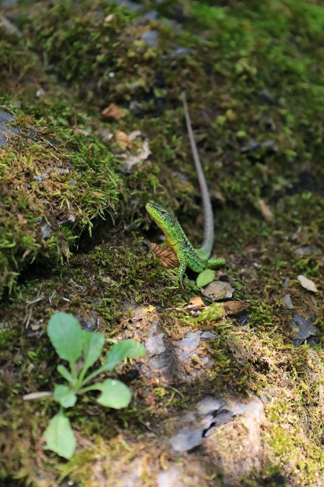 Photograph by Ольга Шоляк