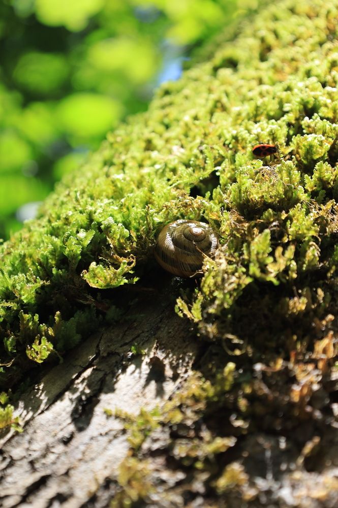 Photograph by Ольга Шоляк