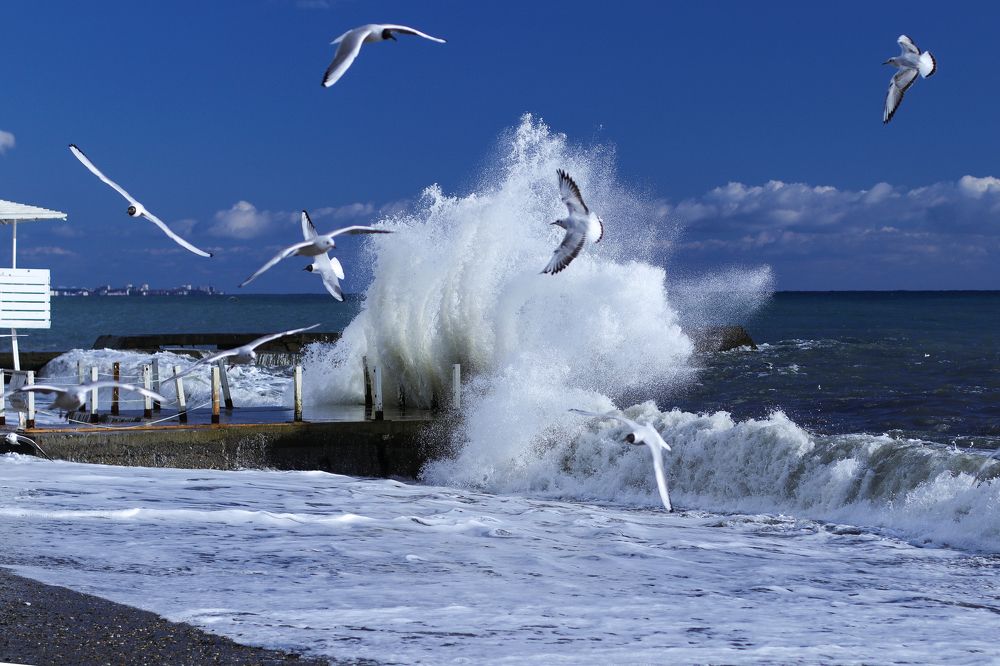 Photograph by Виктория Санкина