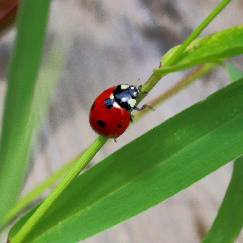 Photograph by Юрий Варюхин