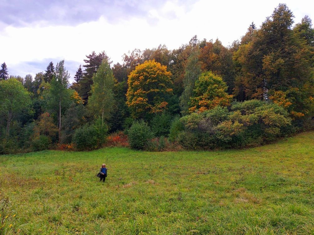 Фотография автора Екатерина Борзыкина