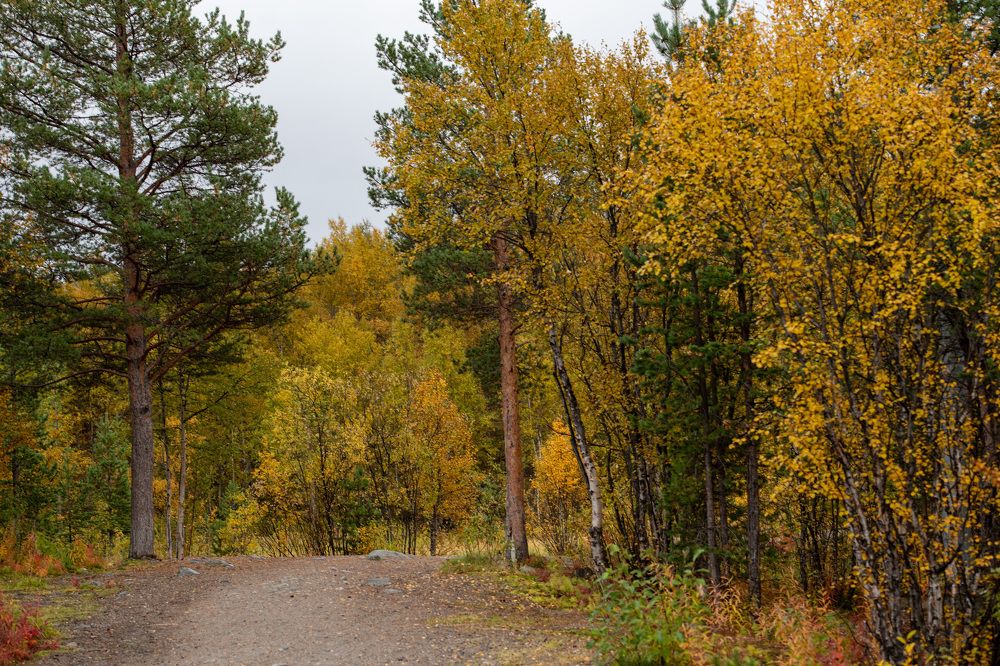 Photograph by Светлана Лебедева