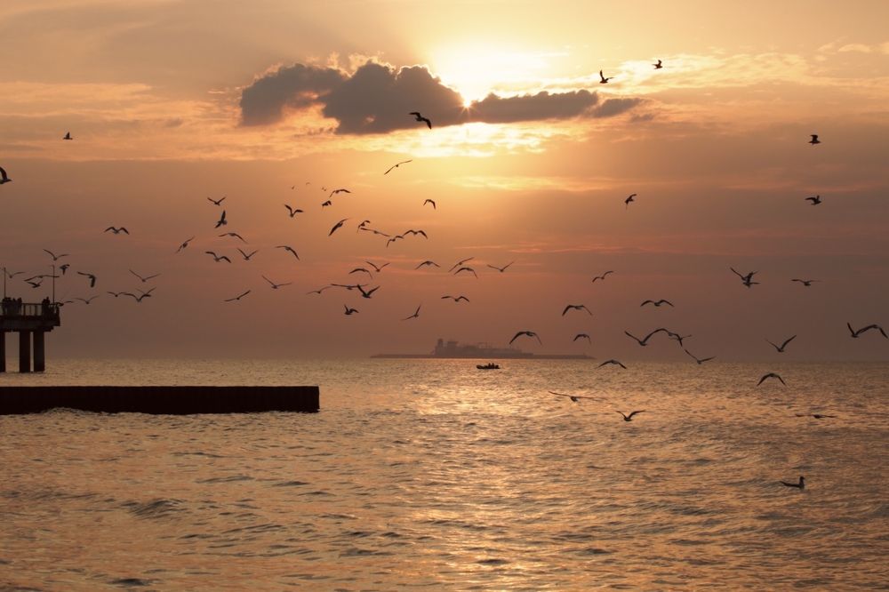 Photograph by Елена Ковалева