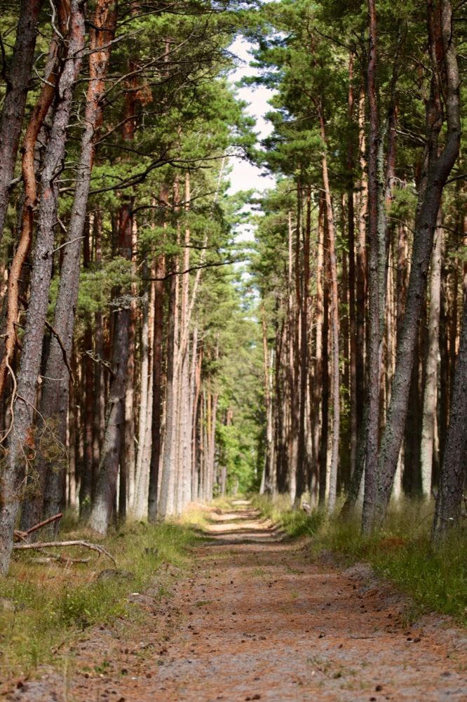 Photograph by Елена Ковалева