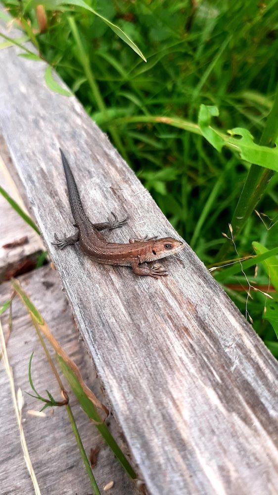 Photograph by Katsiaryna Feaktsistava