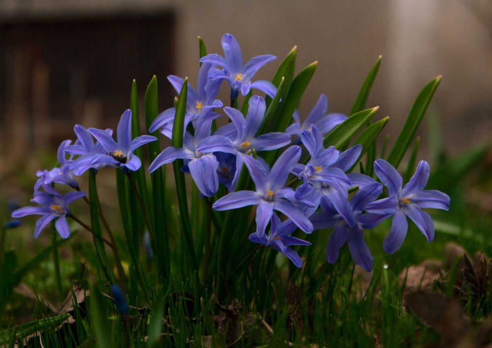 Photograph by Сергей Бабанов