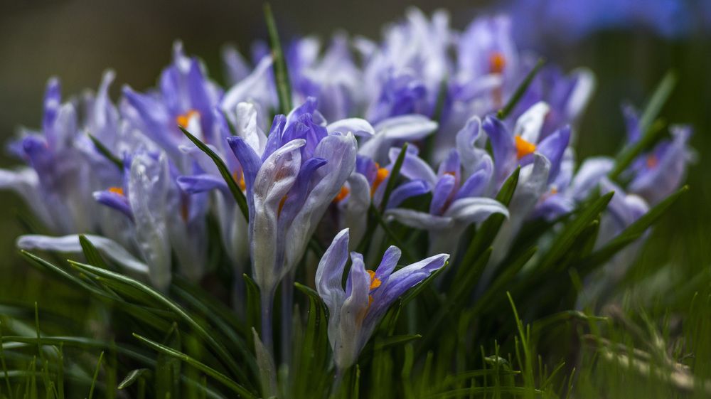 Photograph by Сергей Бабанов