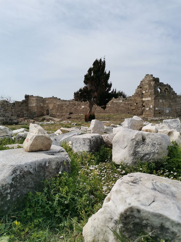 Photograph by Марина Маханцева