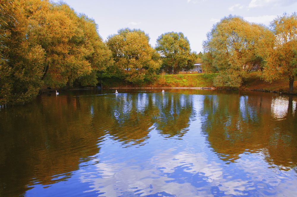 Photograph by Нина Сучкова