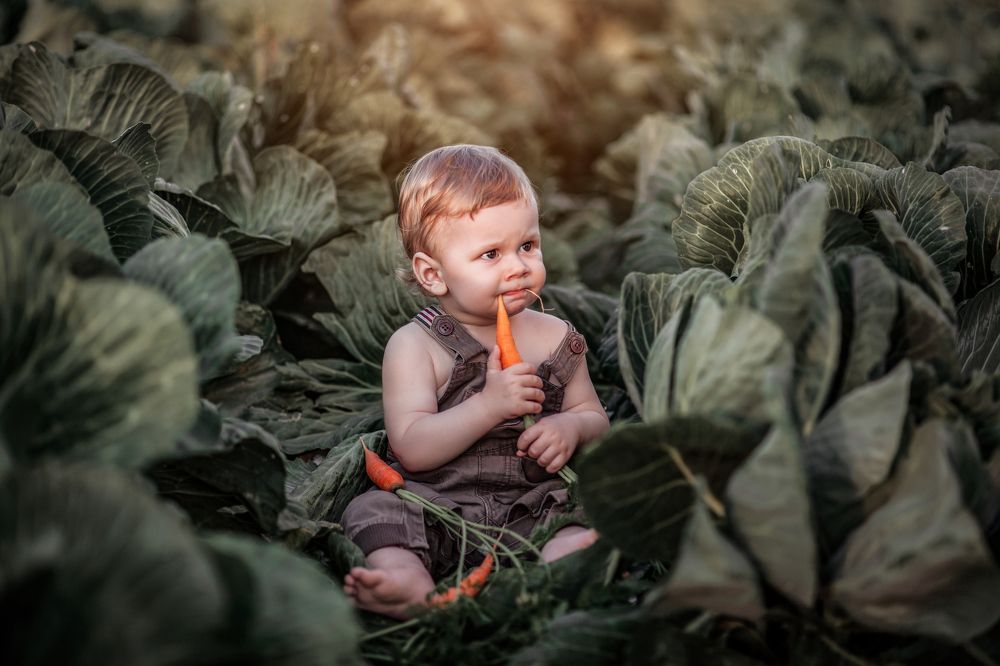 Фотография автора Кристина Догодька