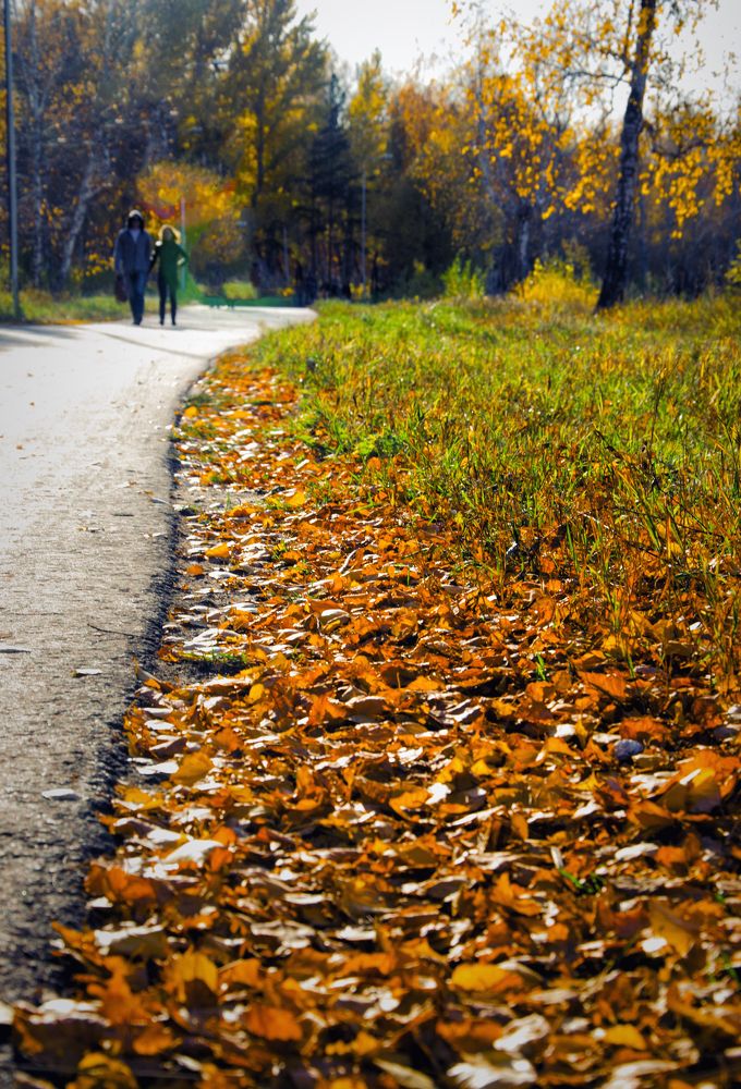 Photograph by Елена Аверина