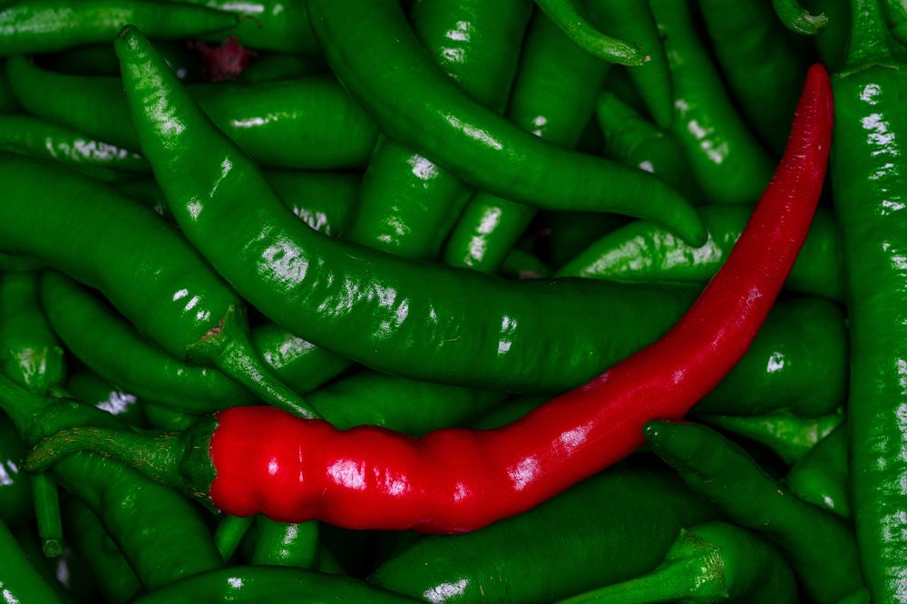 Photograph by Oleg Butorin