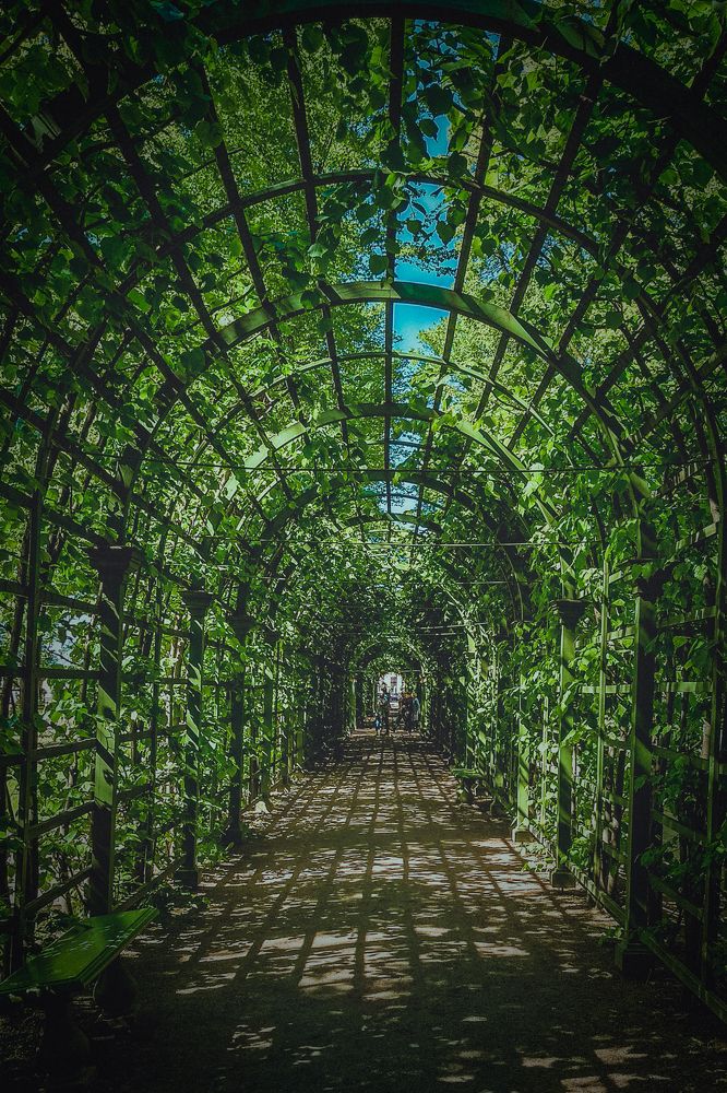 Photograph by Александр Попович