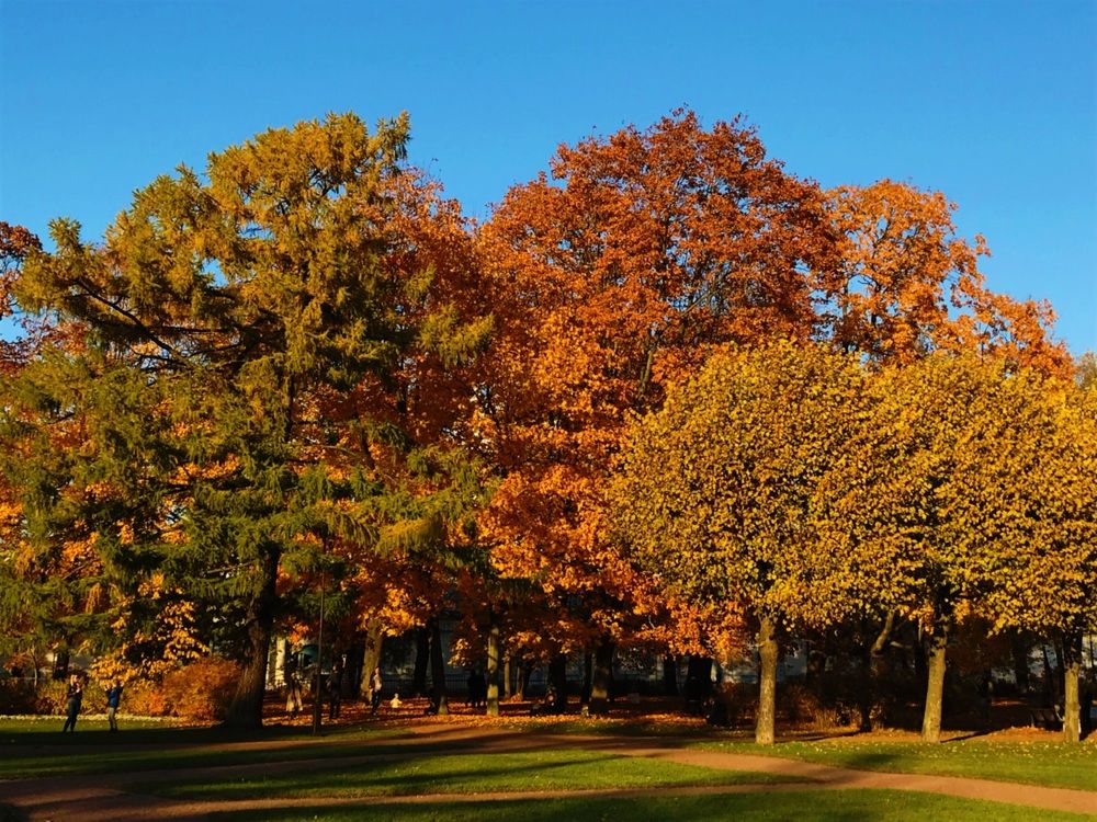 Photograph by Sergei Kutin