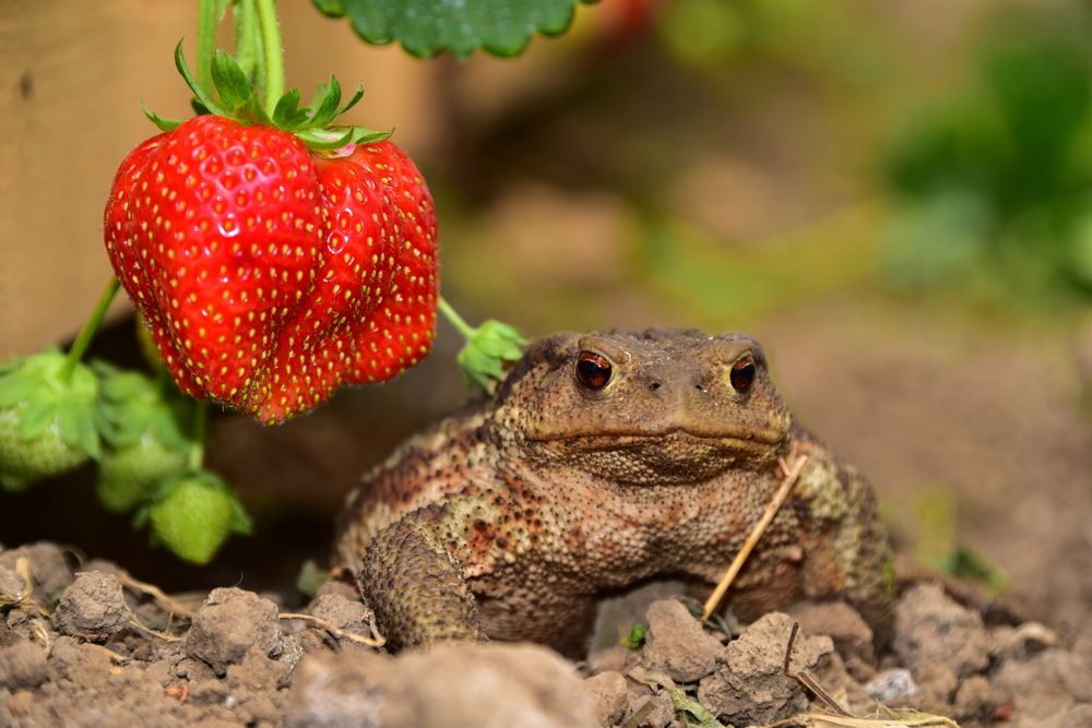 Photograph by Светлана Ивановна