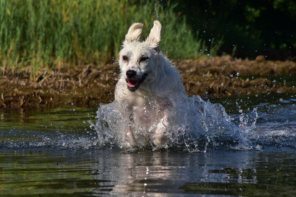 Photograph by Светлана Ивановна