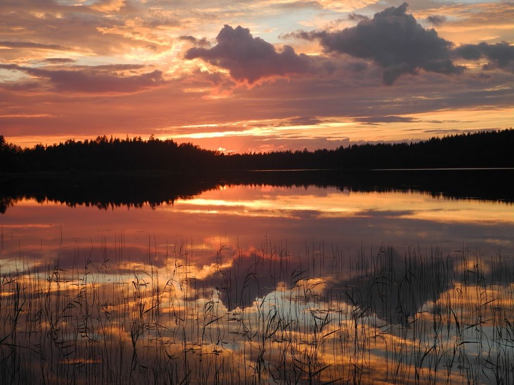 Photograph by Андрей Головин