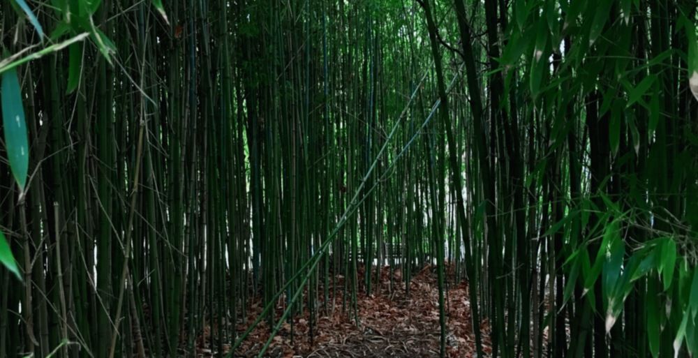 Photograph by Sergei Kutin