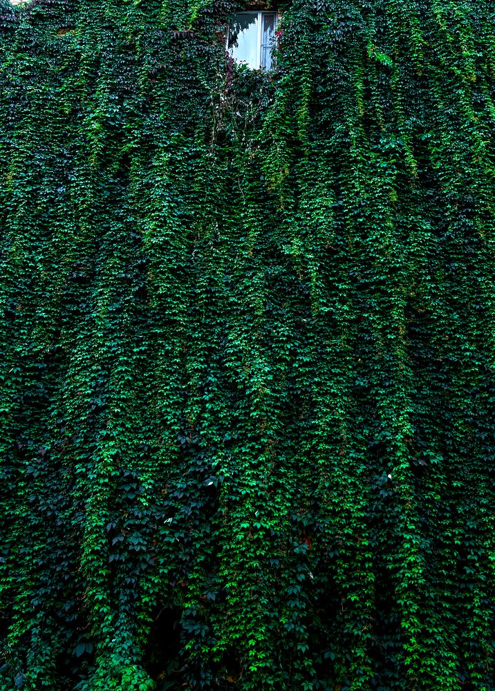 Photograph by Sergei Kutin