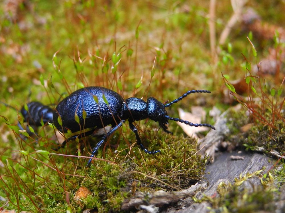 Photograph by Андрей Головин