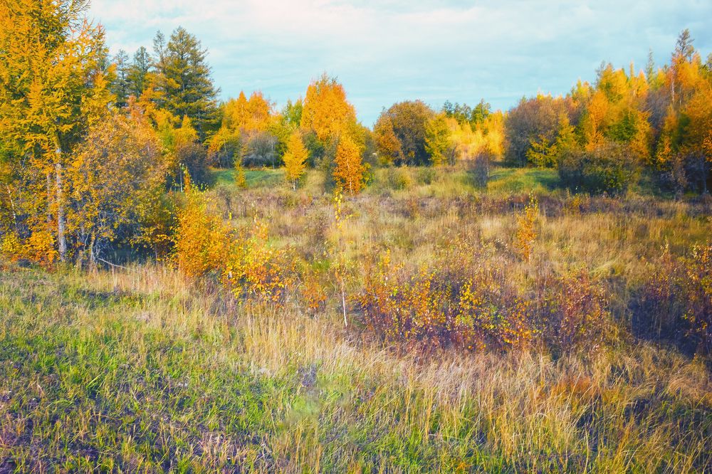 Осеннее утро.