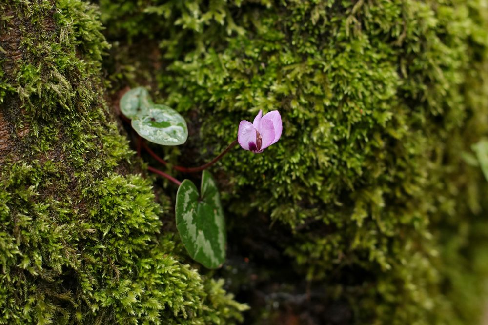 Photograph by Виктория Санкина