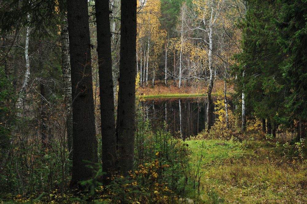 Photograph by Григорий Пиль