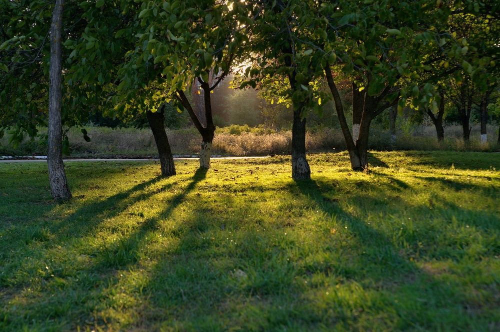 Photograph by АНДРЕЙ Роев