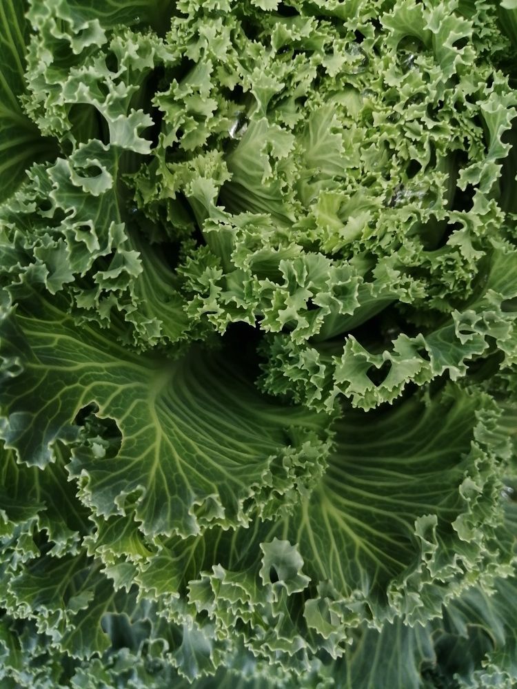 Photograph by Галина Смирнова