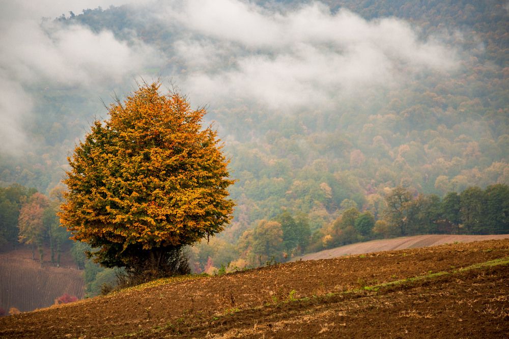 Photograph by seyed mostafa yousefi