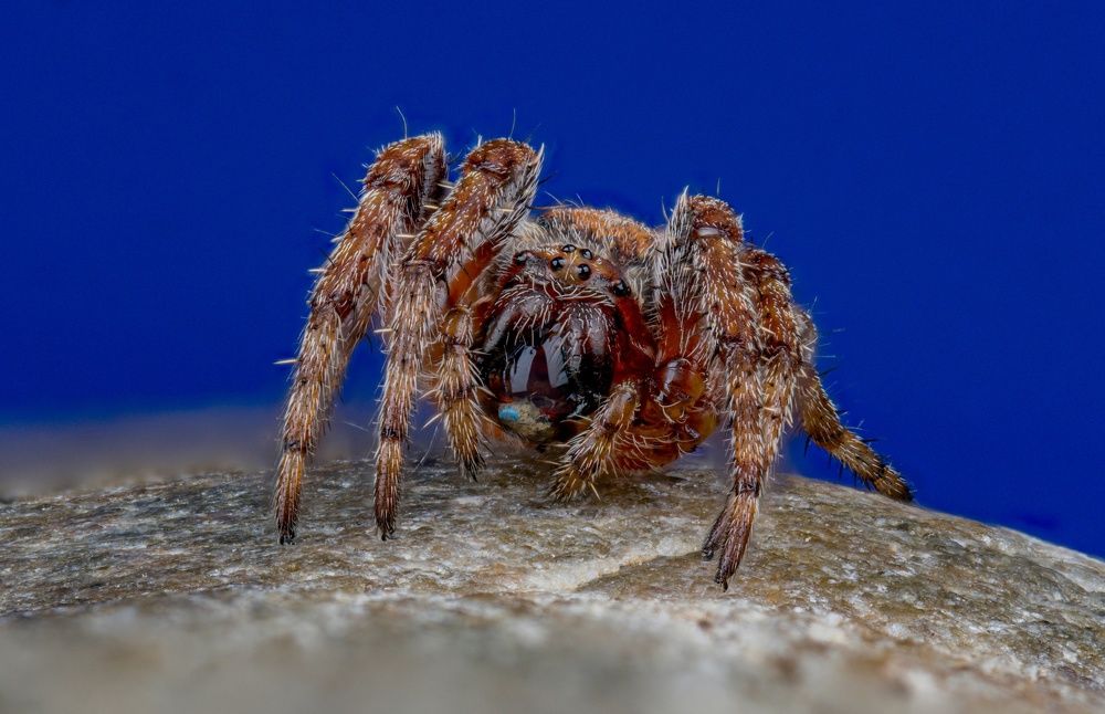 Photograph by Овечкин Павел