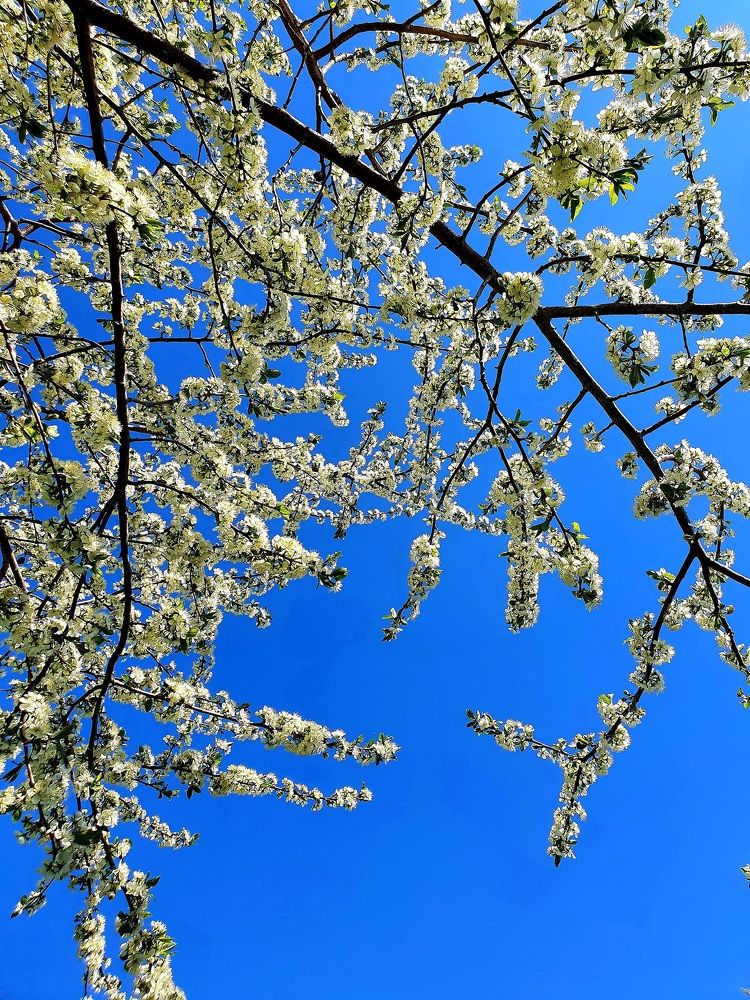 Photograph by Ева К