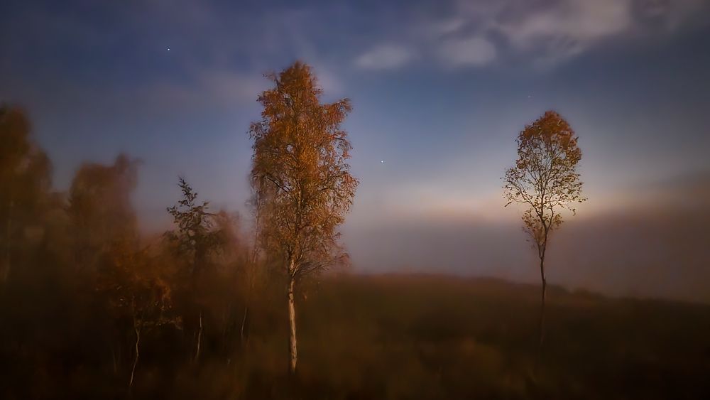 Туманное утро