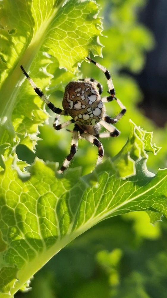 Photograph by Елена Федоткина