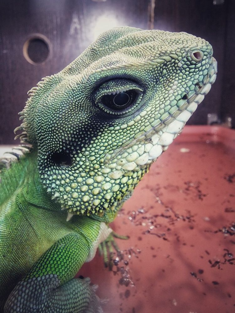 Photograph by Елена Федоткина