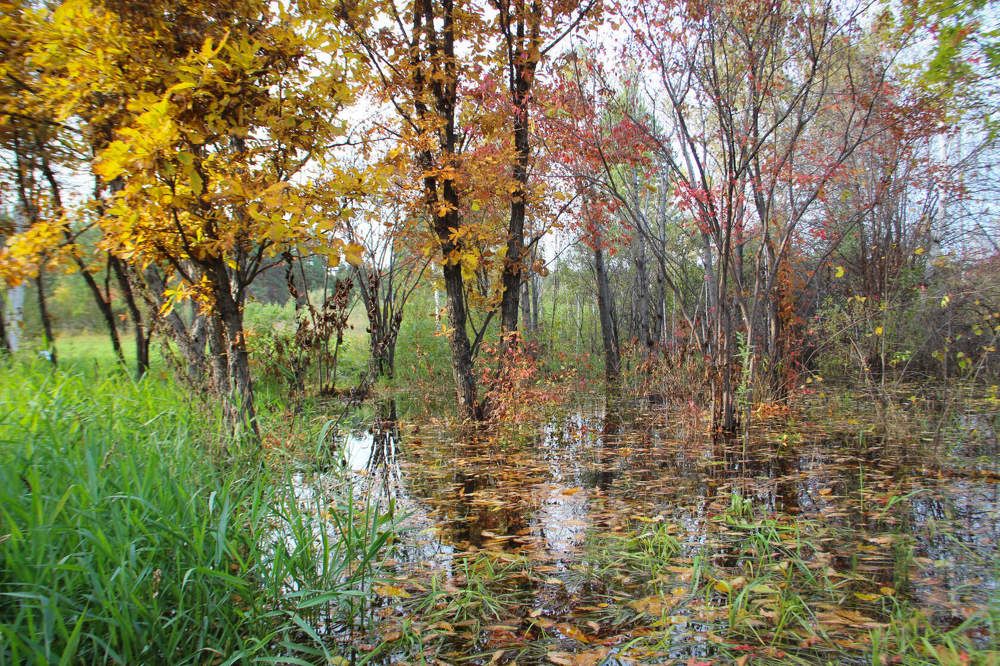 Photograph by Алина