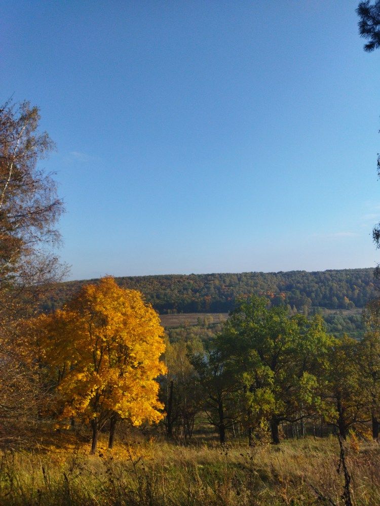 Photograph by Дарья Березлева