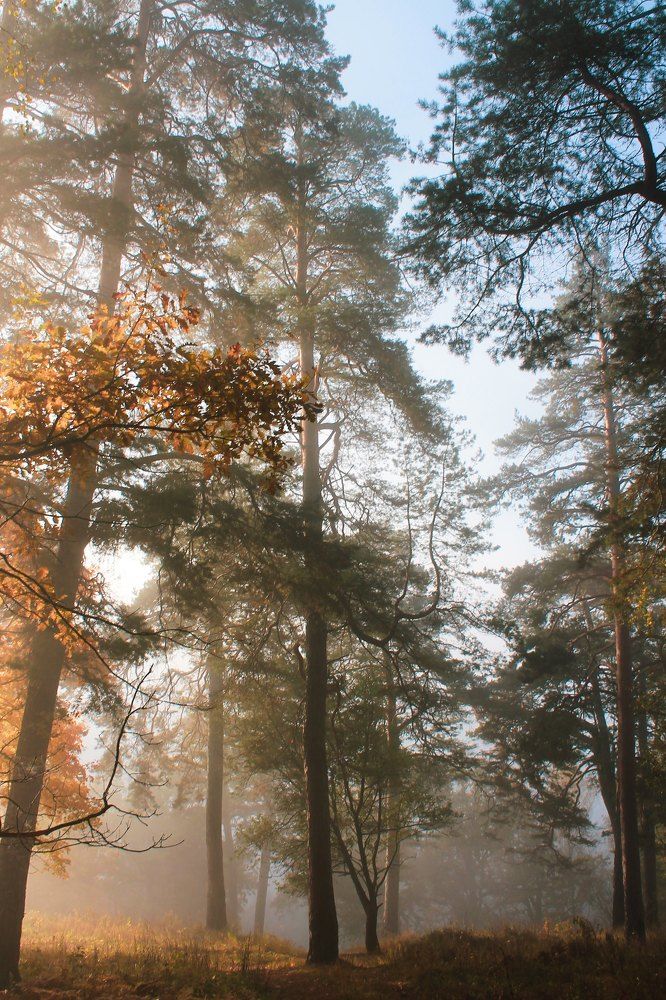 Photograph by Дарья Березлева