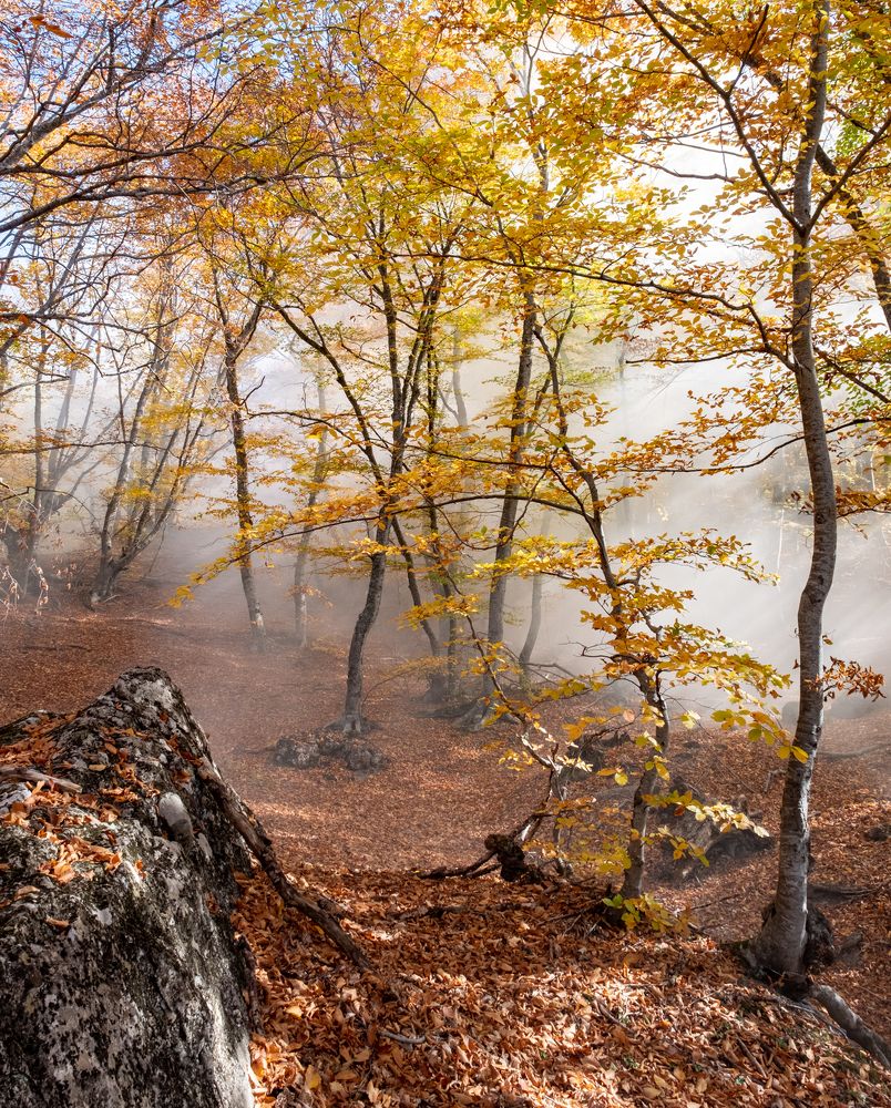 Photograph by Юрий Чернов