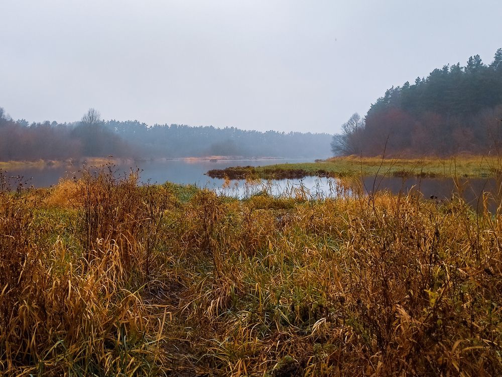 Photograph by Анастасия Кулешевич