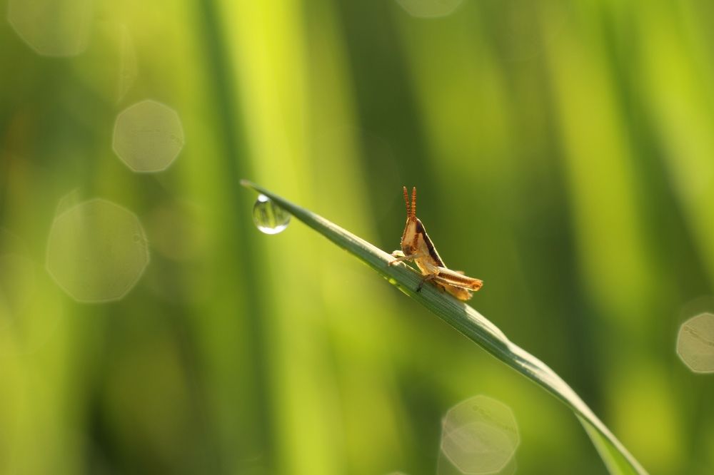 Photograph by Aleksey Maevskiy