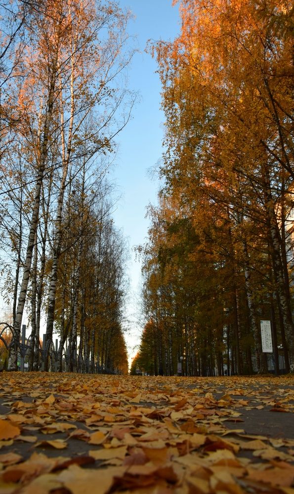 Photograph by Maiya Bulatova