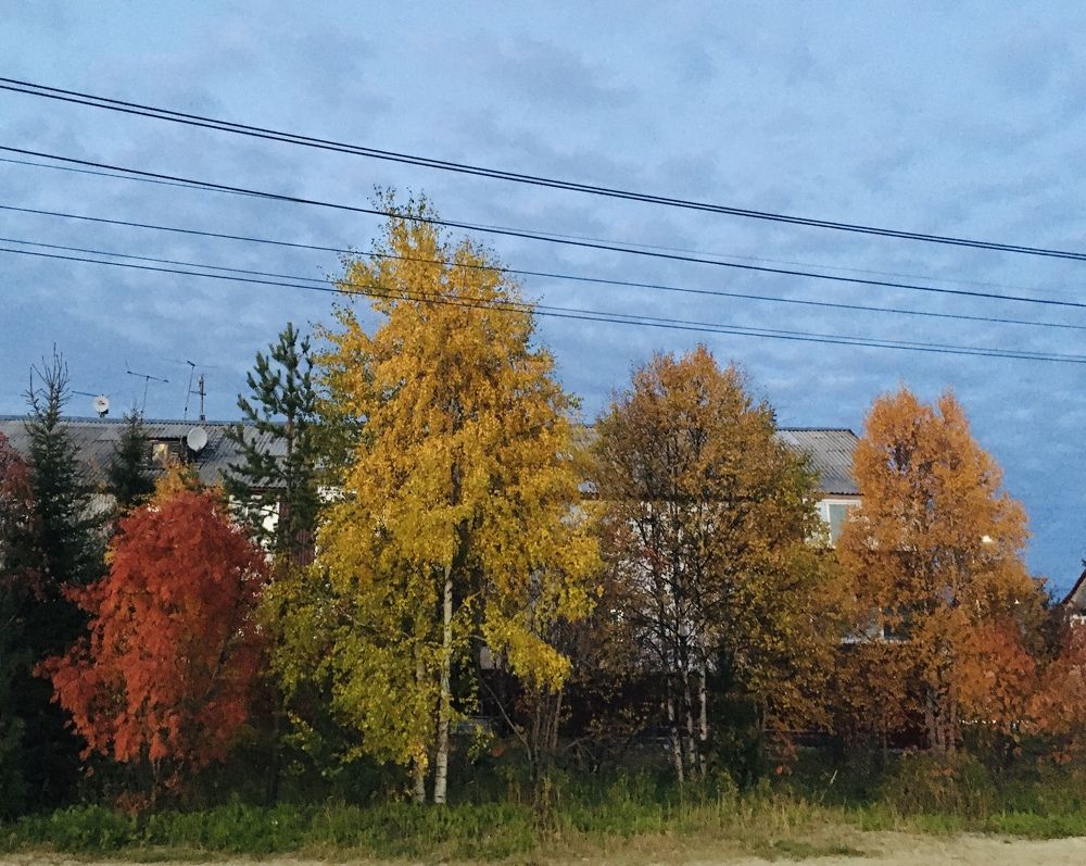 Photograph by Ирина Трембач