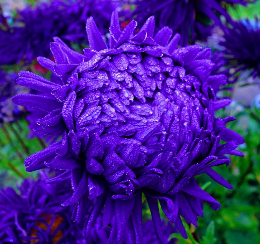 Photograph by IRINA KORNEVA