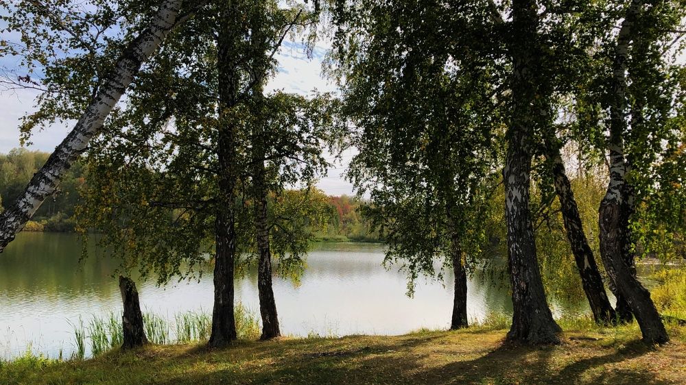 Photograph by Римма Большакова