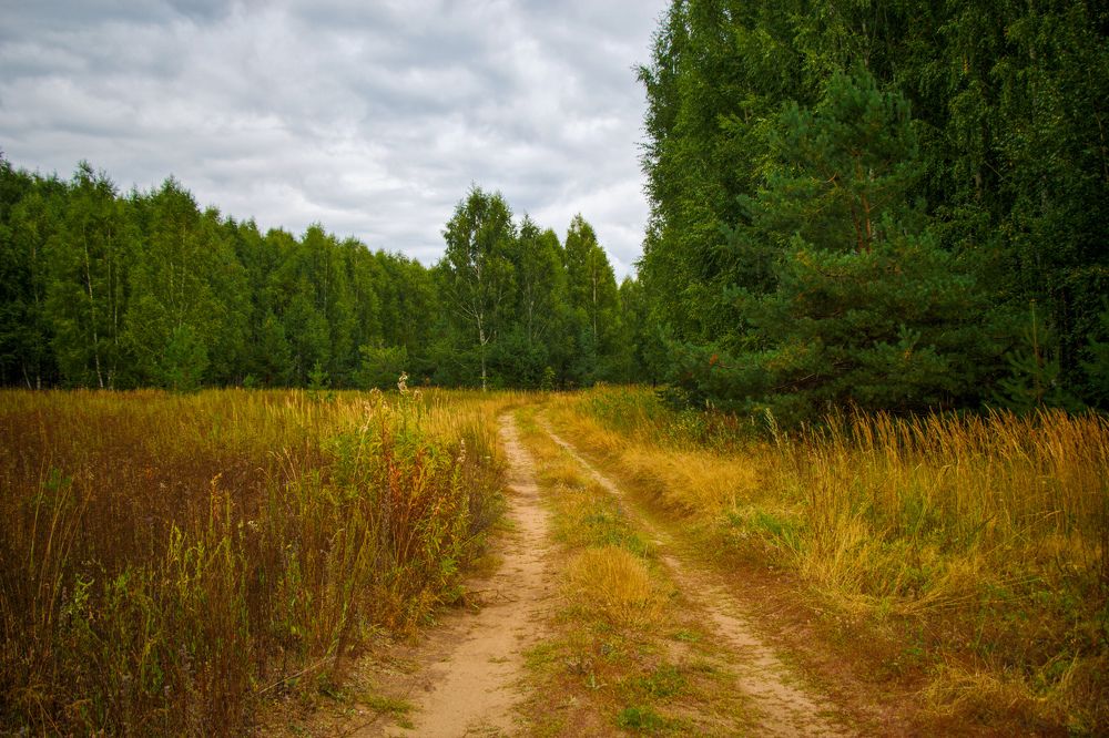 Photograph by Наталья Баруля